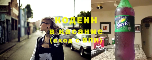 прущие грибы Гусев