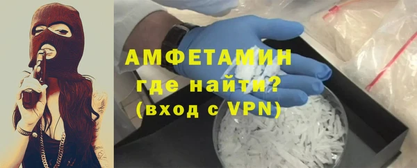 прущие грибы Гусев