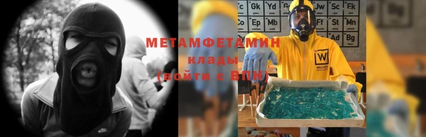 прущие грибы Гусев