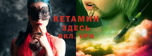 прущие грибы Гусев