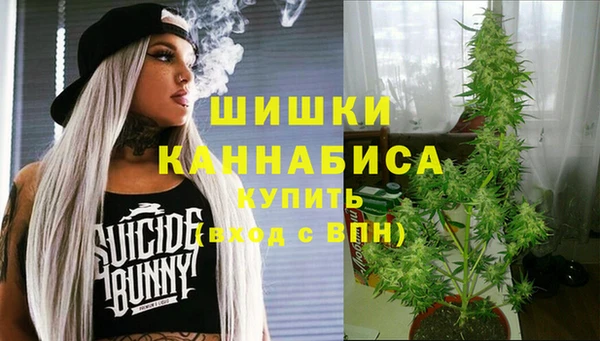 прущие грибы Гусев