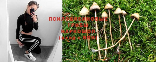 прущая мука Гусь-Хрустальный