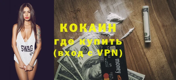 прущие грибы Гусев