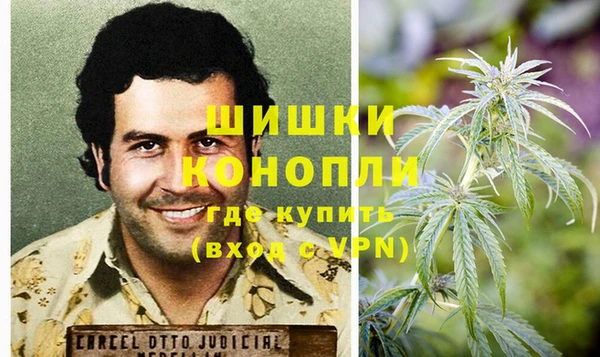 прущие грибы Гусев